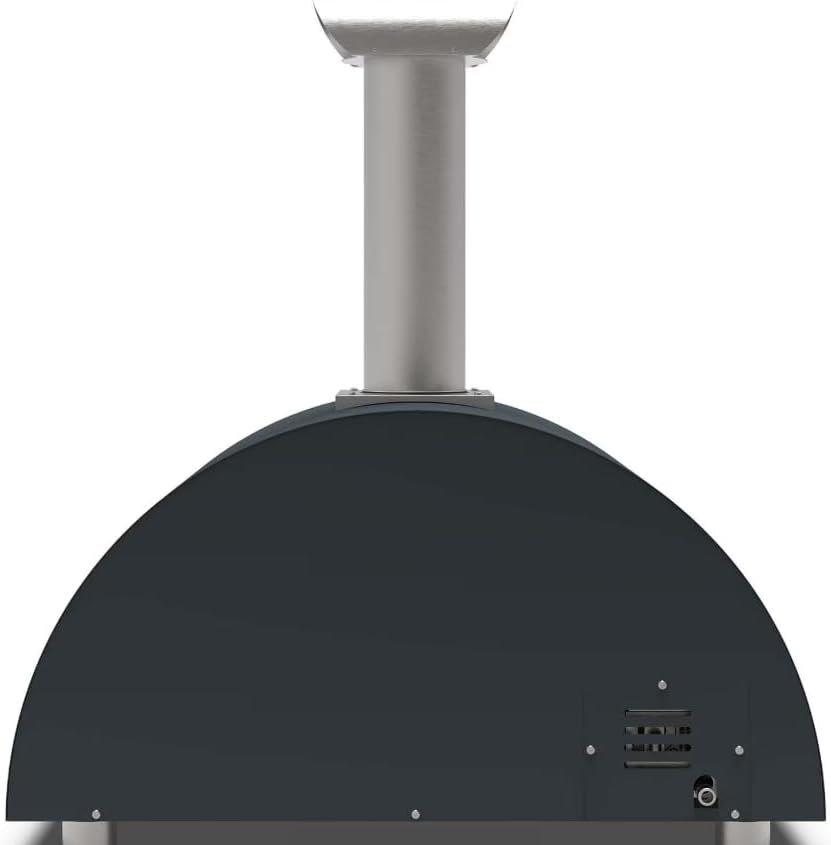 Alfa 2 Pizze oven worth it,Alfa 2 Pizze pros cons,should I buy Alfa 2 Pizze,Alfa 2 Pizze vs alternatives,Alfa 2 Pizze oven honest,best outdoor pizza oven for home performance testing and real-world results