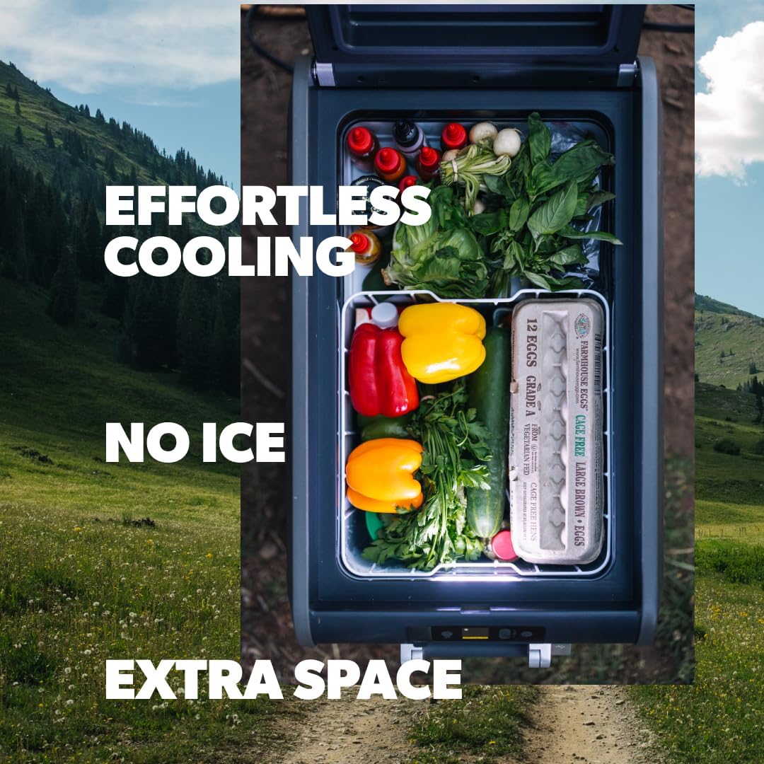 Dometic CFX5 75 DZ worth buying,Dometic CFX5 pros cons,best portable freezer for car,Dometic CFX5 vs alternatives,should I buy a Dometic CFX,Dometic CFX5 75 DZ honest performance testing and real-world results