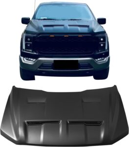 Image 1 of IKON MOTORSPORTS Super Snake hood worth it