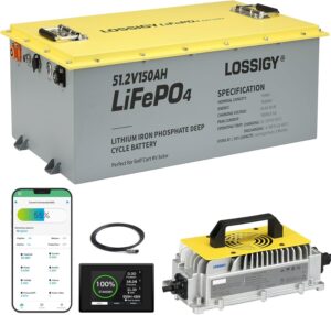 Image 1 of LOSSIGY 48V lithium battery worth it