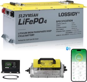 Image 1 of LOSSIGY 48V lithium battery worth it