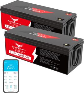Image 1 of NewtiPower 660Ah LiFePO4 battery worth buying