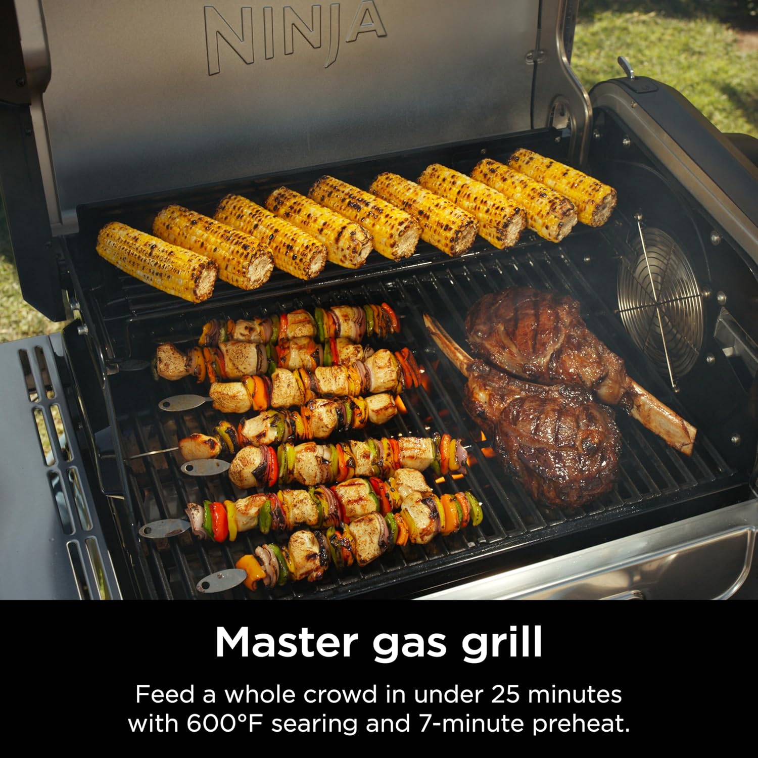 Step-by-step guide for Ninja FlexFlame outdoor cooking system,best 5 in 1 grill smoker for car camping,should I buy Ninja FlexFlame,Ninja FlexFlame vs Weber Genesis,Ninja FlexFlame pros cons,Ninja FlexFlame worth buying - complete tutorial