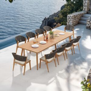 Image 1 of Purple Leaf patio set worth it