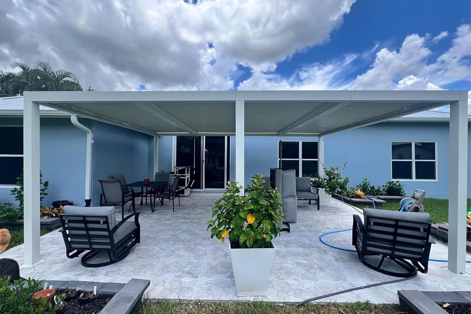 Image 1 of Purple Leaf pergola worth buying