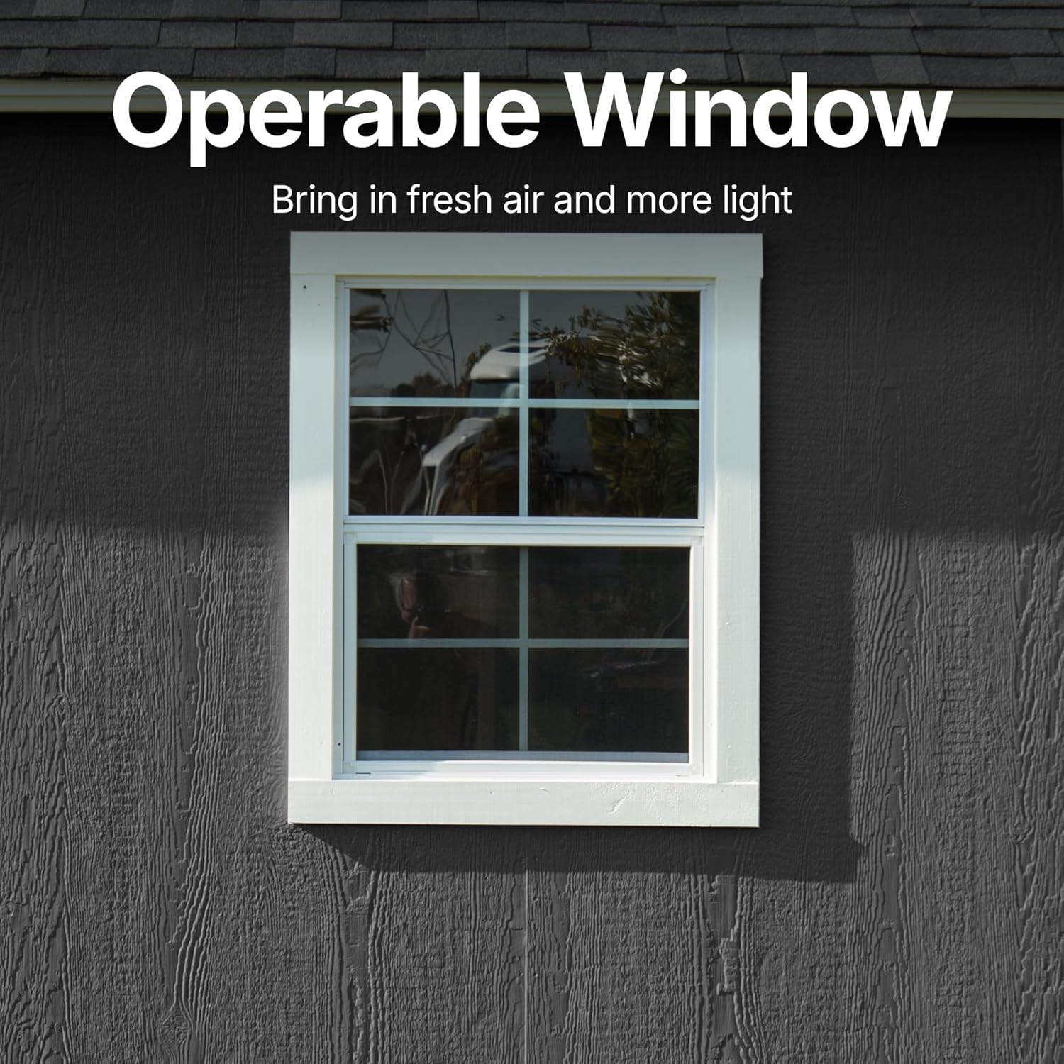 Step-by-step guide for Ridgeway 10x12 shed worth buying,Ridgeway 10x12 shed pros cons,ShedMaster Ridgeway honest opinion,best 10x12 wooden storage shed,should I buy the Ridgeway shed,Ridgeway vs other wooden sheds - complete tutorial