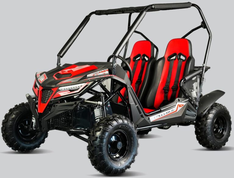 Image 1 of TrailMaster Cheetah 8 worth buying