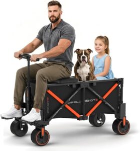 Image 1 of WISELD GT3-4WD electric wagon worth buying