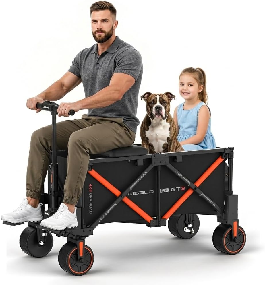 Image 1 of WISELD GT3-4WD electric wagon worth buying