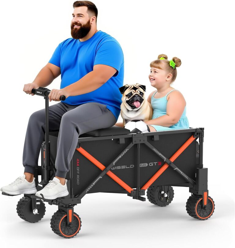 Image 1 of WISELD GT3 4WD off-road electric wagon
