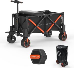 Image 1 of WISELD GT3 4WD off-road electric wagon