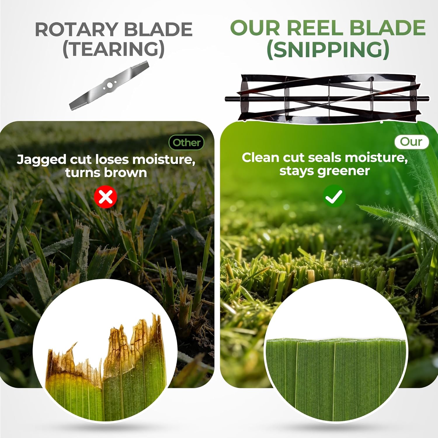 Walensee cordless reel mower worth it,should I buy Walensee reel mower,Walensee reel mower pros cons,best cordless reel mower for small yard,Walensee vs other reel mowers,cordless reel mower for garden performance testing and real-world results