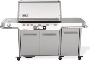 Image 1 of Weber Summit Smart FS38X S worth buying
