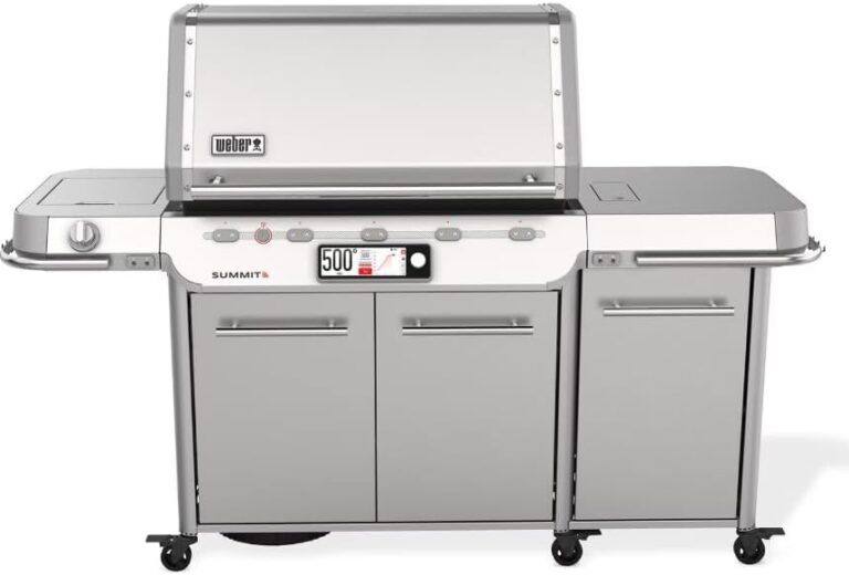 Image 1 of Weber Summit Smart FS38X S worth buying