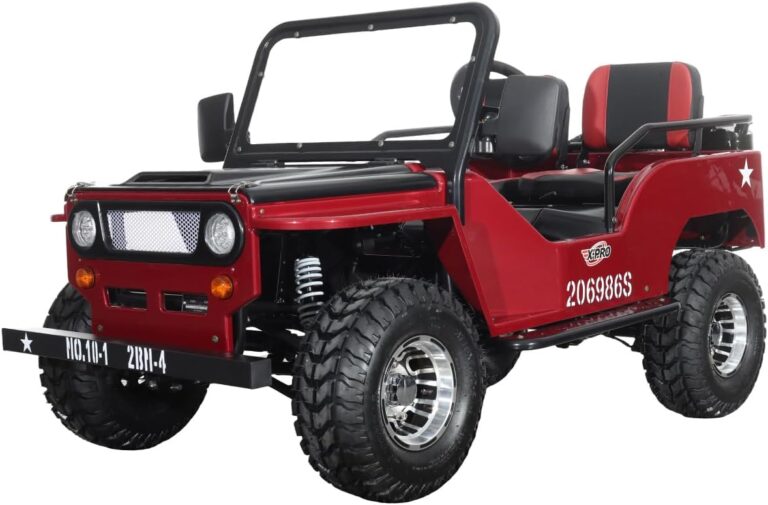 Image 1 of X-PRO E-Ranger 3000W worth it