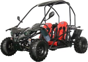Image 1 of X-PRO Talon 125cc Go Kart worth it
