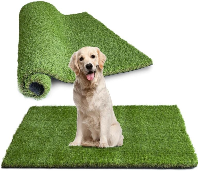 Image 1 of best artificial grass for dogs