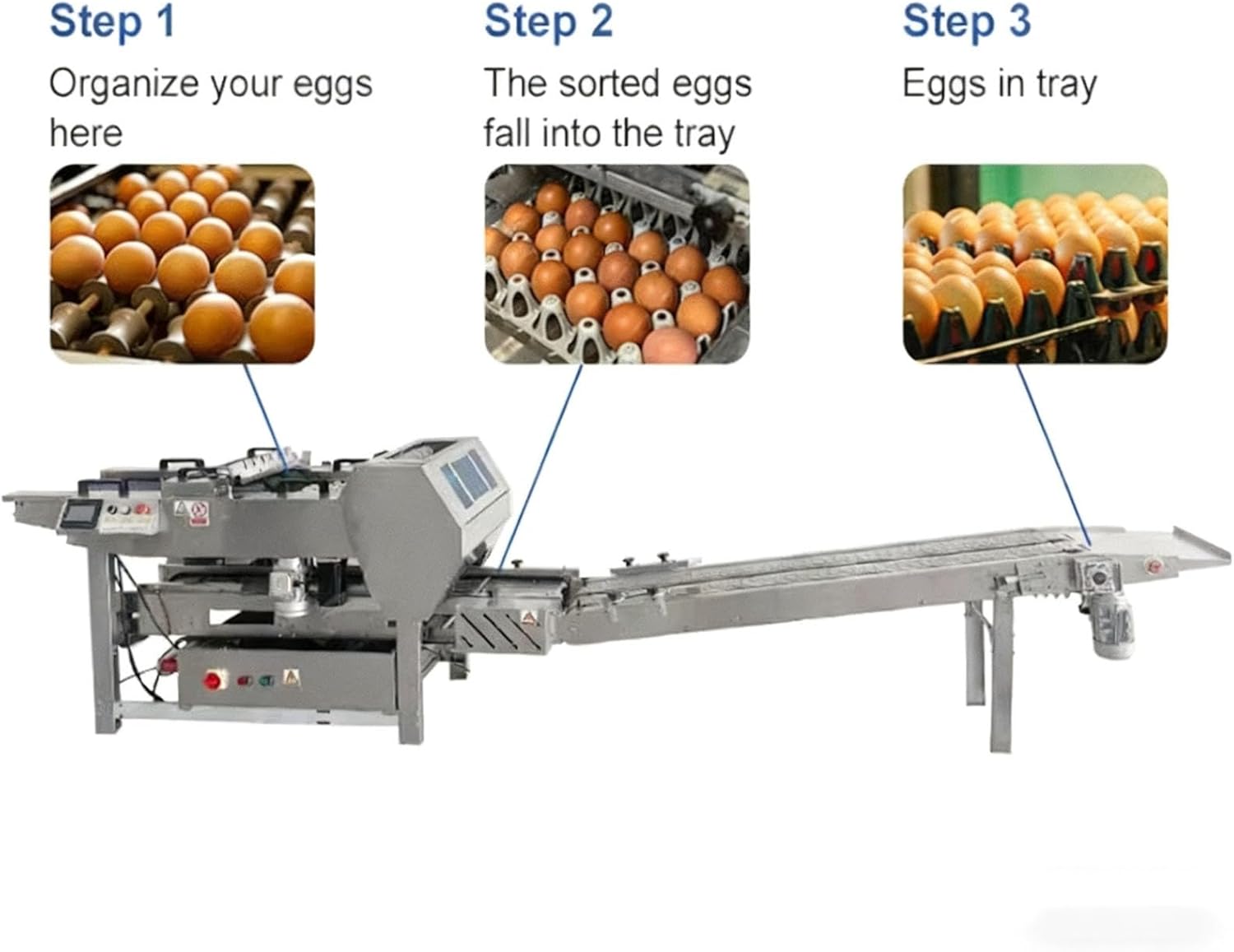 best automatic egg packaging machine,should I buy an egg packaging machine,egg packaging machine pros cons,egg packaging machine worth buying,best egg packaging machine for farm,egg packaging machine vs manual packing performance testing and real-world results