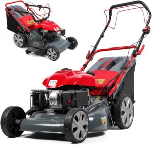 Image 1 of best gas lawn mower for thick grass