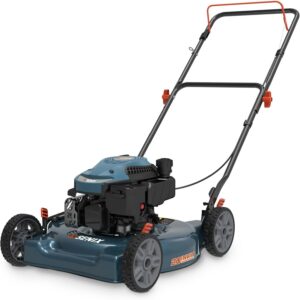 Image 1 of best gas lawn mower for yard