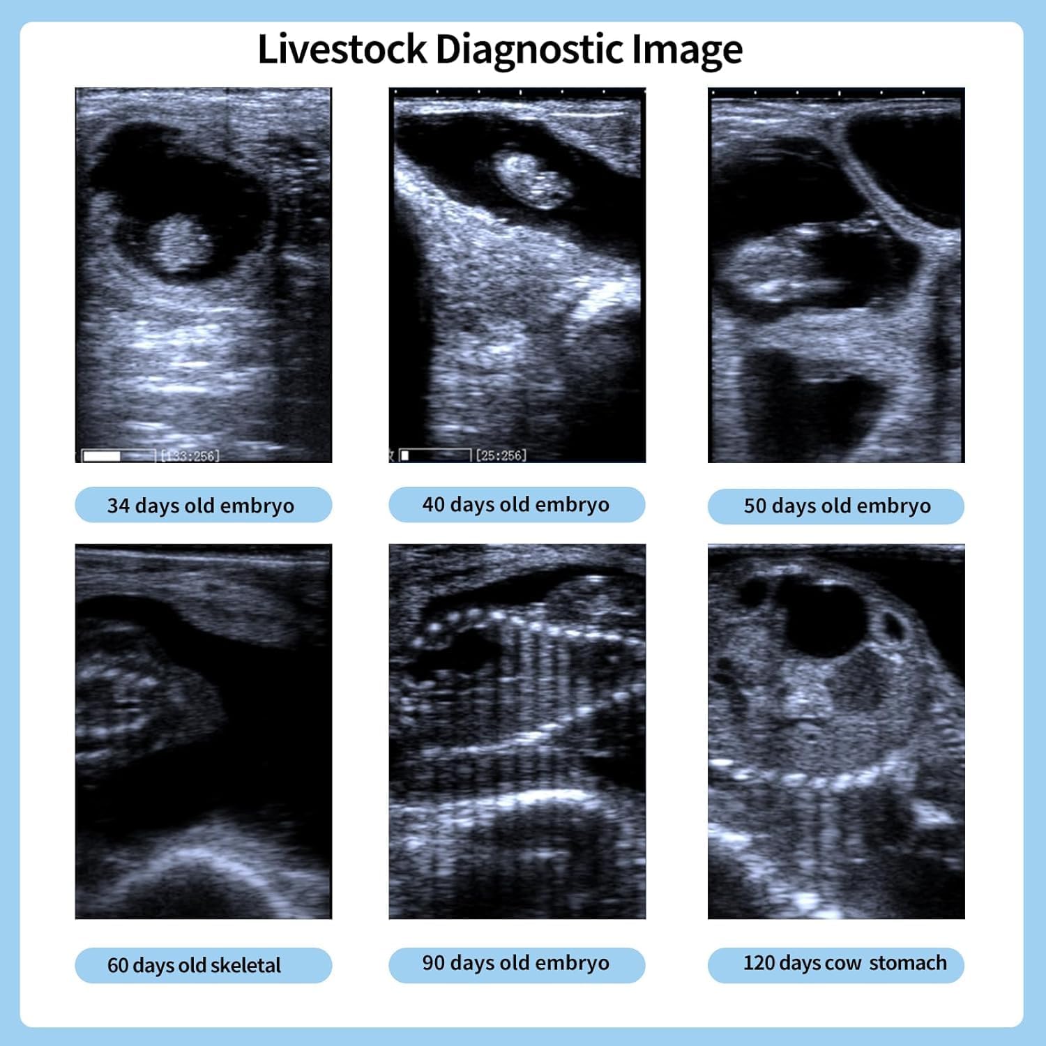 best portable veterinary ultrasound machine,should I buy veterinary ultrasound machine,portable ultrasound machine for cattle pros cons,A8 veterinary ultrasound vs alternatives,veterinary ultrasound machine worth buying,best ultrasound machine for livestock unboxing and complete package contents