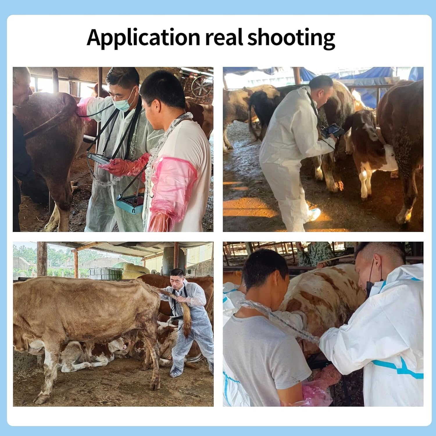 Step-by-step guide for best portable veterinary ultrasound machine,should I buy veterinary ultrasound machine,portable ultrasound machine for cattle pros cons,A8 veterinary ultrasound vs alternatives,veterinary ultrasound machine worth buying,best ultrasound machine for livestock - complete tutorial