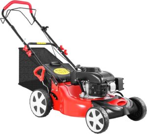 Image 1 of best self propelled gas lawn mower