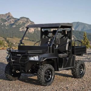 Image 1 of buy 1000cc utility vehicle