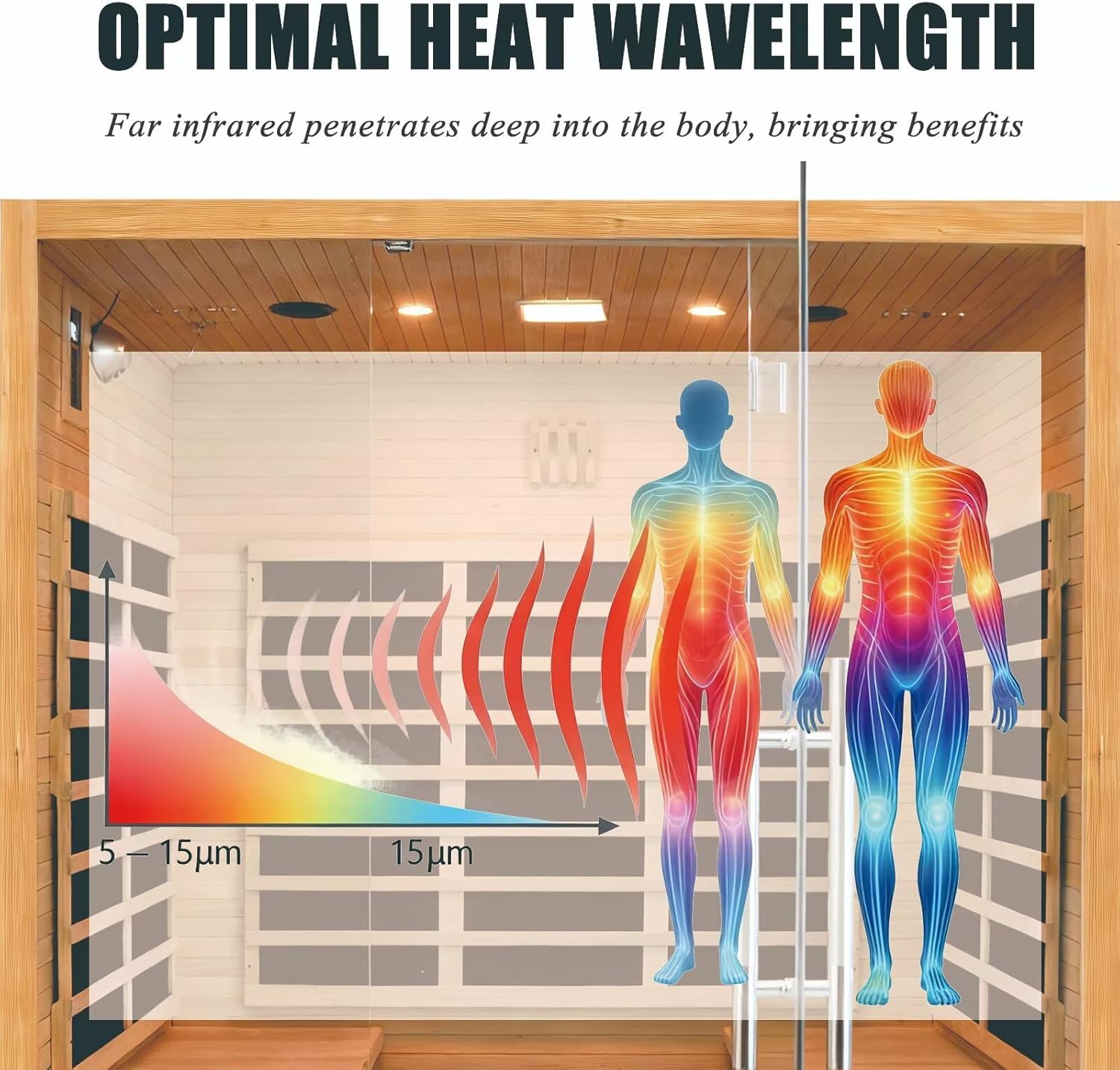 buy Hemlock wood home sauna,Hemlock wood sauna worth buying,best indoor sauna for home gym,Hemlock sauna pros and cons,should I buy a Hemlock infrared sauna,Hemlock sauna vs other materials performance testing and real-world results