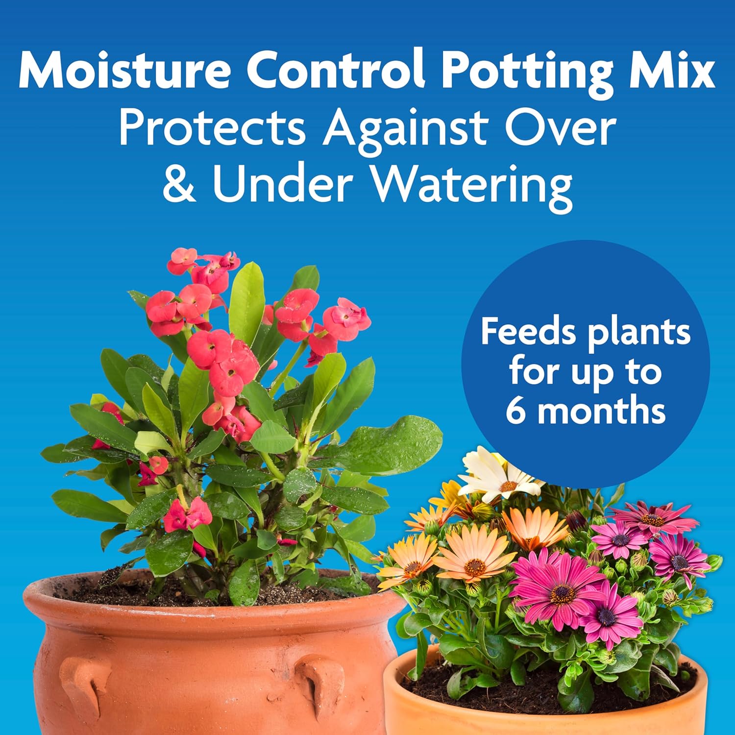 buy Miracle-Gro Moisture Control Potting Mix,should I buy Miracle-Gro potting mix,Miracle-Gro vs other potting soil,best potting soil for container plants,Moisture Control Potting Mix pros cons,Miracle-Gro potting soil worth buying unboxing and complete package contents