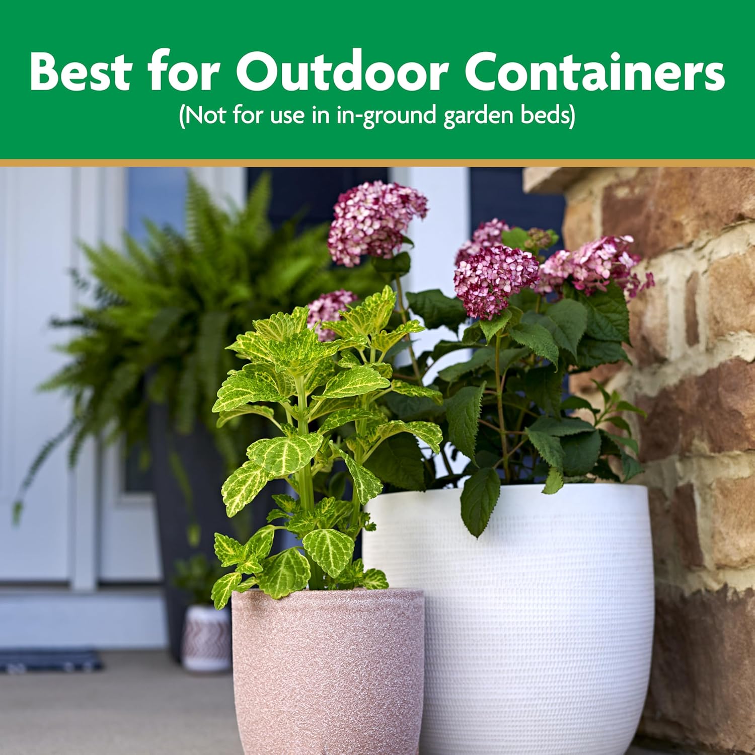 buy Miracle-Gro Moisture Control Potting Mix,should I buy Miracle-Gro potting mix,Miracle-Gro vs other potting soil,best potting soil for container plants,Moisture Control Potting Mix pros cons,Miracle-Gro potting soil worth buying performance testing and real-world results