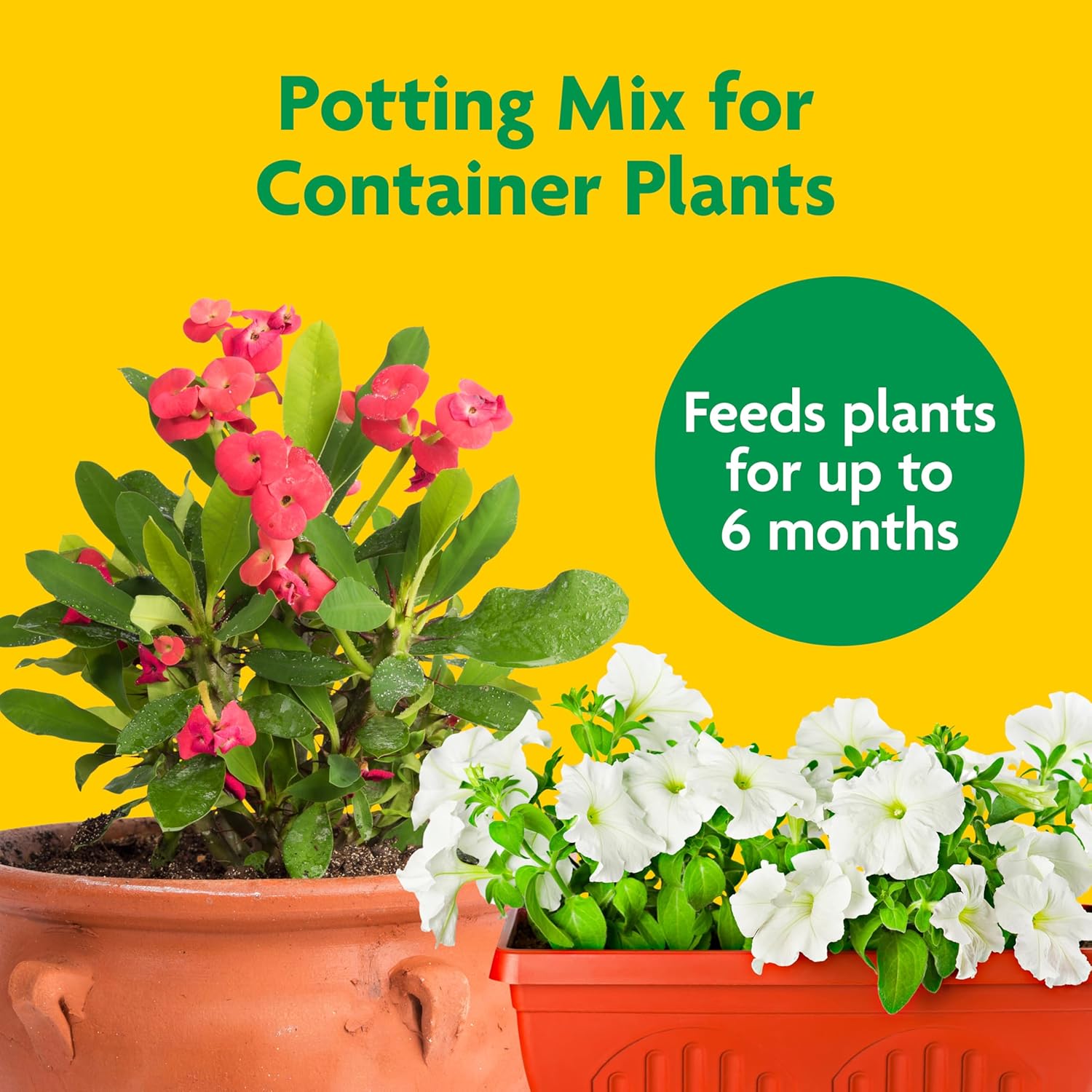 buy Miracle-Gro Potting Mix bulk,best potting soil for container gardens,Miracle-Gro Potting Mix vs alternatives,should I buy Miracle-Gro bulk soil,Miracle-Gro Potting Mix pros and cons,best bulk soil for large pots unboxing and complete package contents
