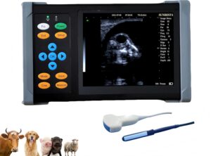 Image 1 of buy SUNBESTA A20 veterinary ultrasound