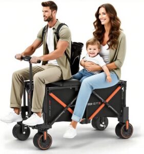 Image 1 of buy WISELD GT3 electric wagon