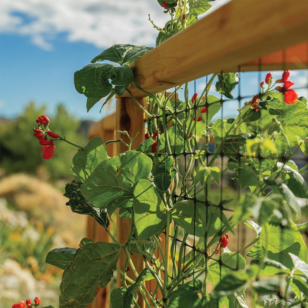 buy Western Red Cedar raised garden bed,should I buy a cedar raised garden bed,Outdoor Living Today garden bed vs alternatives,cedar raised garden bed pros cons,best raised garden bed for deer protection,deer proof raised garden bed worth buying performance testing and real-world results