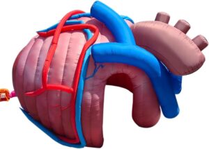 Image 1 of buy inflatable heart tent