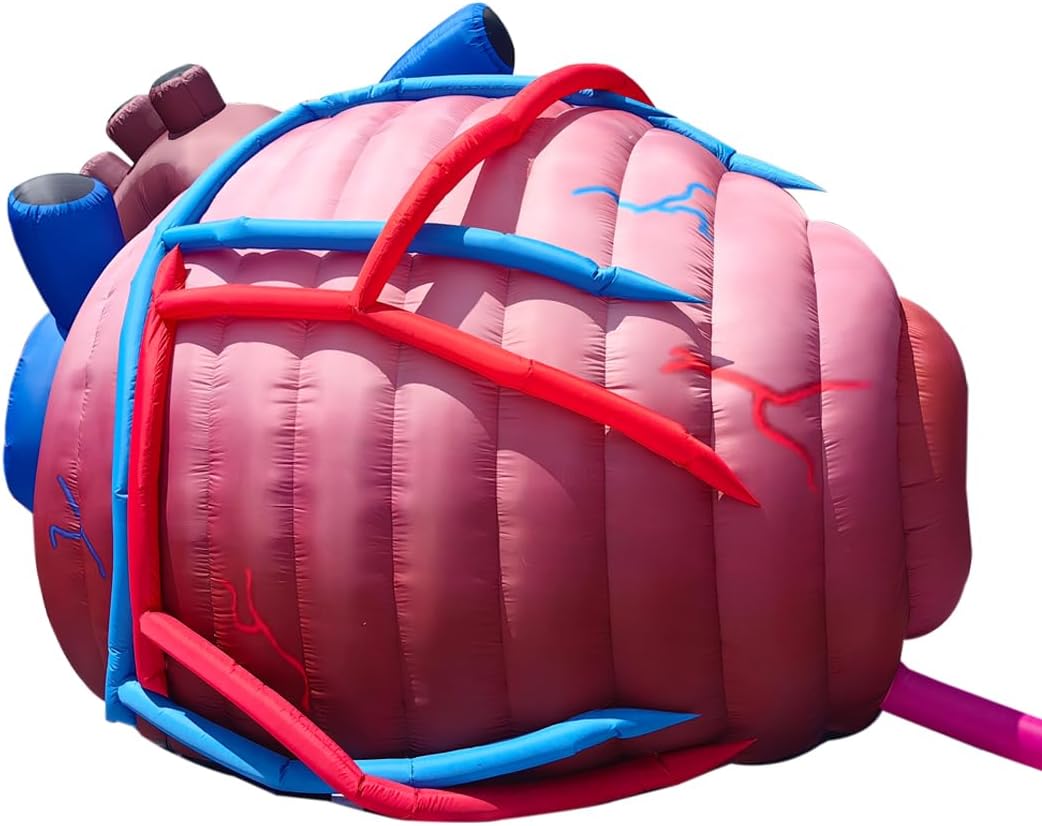buy inflatable heart tent, inflatable heart tent for medical exhibit, best inflatable heart tent for teaching, inflatable heart tent worth buying, should I buy an inflatable heart tent, inflatable heart tent pros cons unboxing and complete package contents