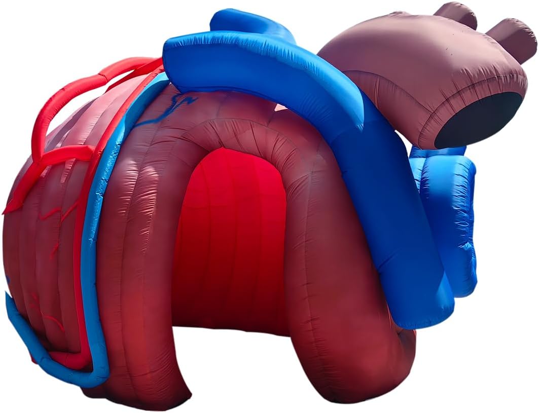 Step-by-step guide for buy inflatable heart tent, inflatable heart tent for medical exhibit, best inflatable heart tent for teaching, inflatable heart tent worth buying, should I buy an inflatable heart tent, inflatable heart tent pros cons - complete tutorial