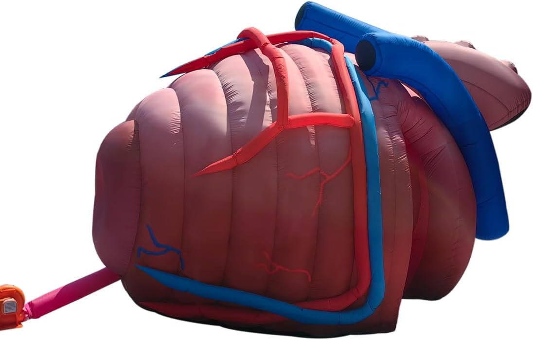 buy inflatable heart tent, inflatable heart tent for medical exhibit, best inflatable heart tent for teaching, inflatable heart tent worth buying, should I buy an inflatable heart tent, inflatable heart tent pros cons performance testing and real-world results