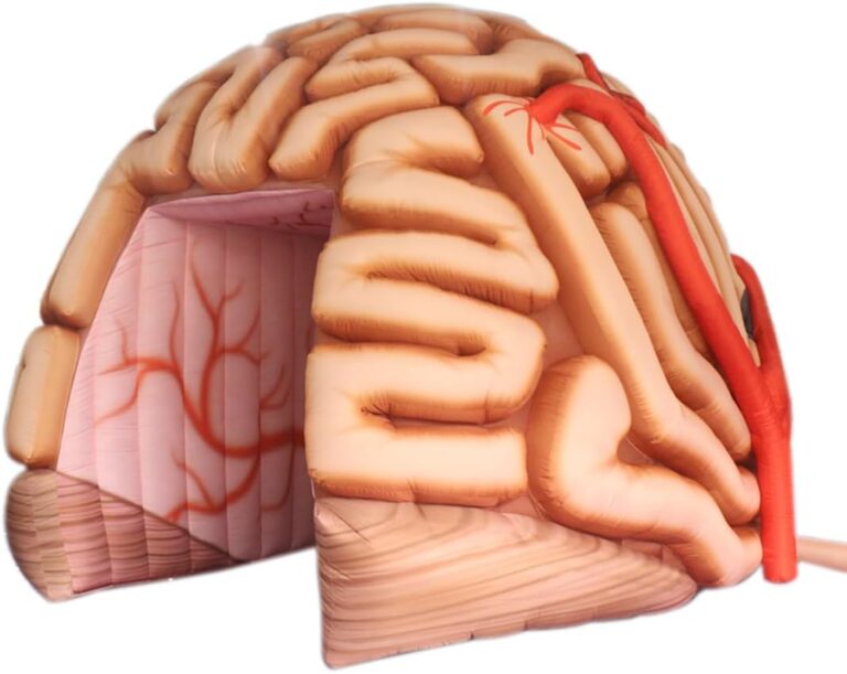 Image 1 of inflatable brain tunnel tent