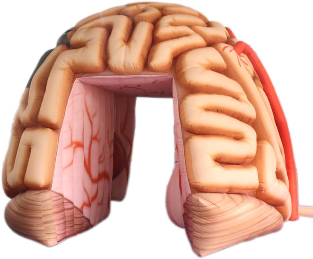 Step-by-step guide for inflatable brain tunnel tent,best medical exhibit tent,inflatable brain for health education,brain tunnel tent worth buying,outdoor inflatable brain model,should I buy an inflatable brain tunnel - complete tutorial