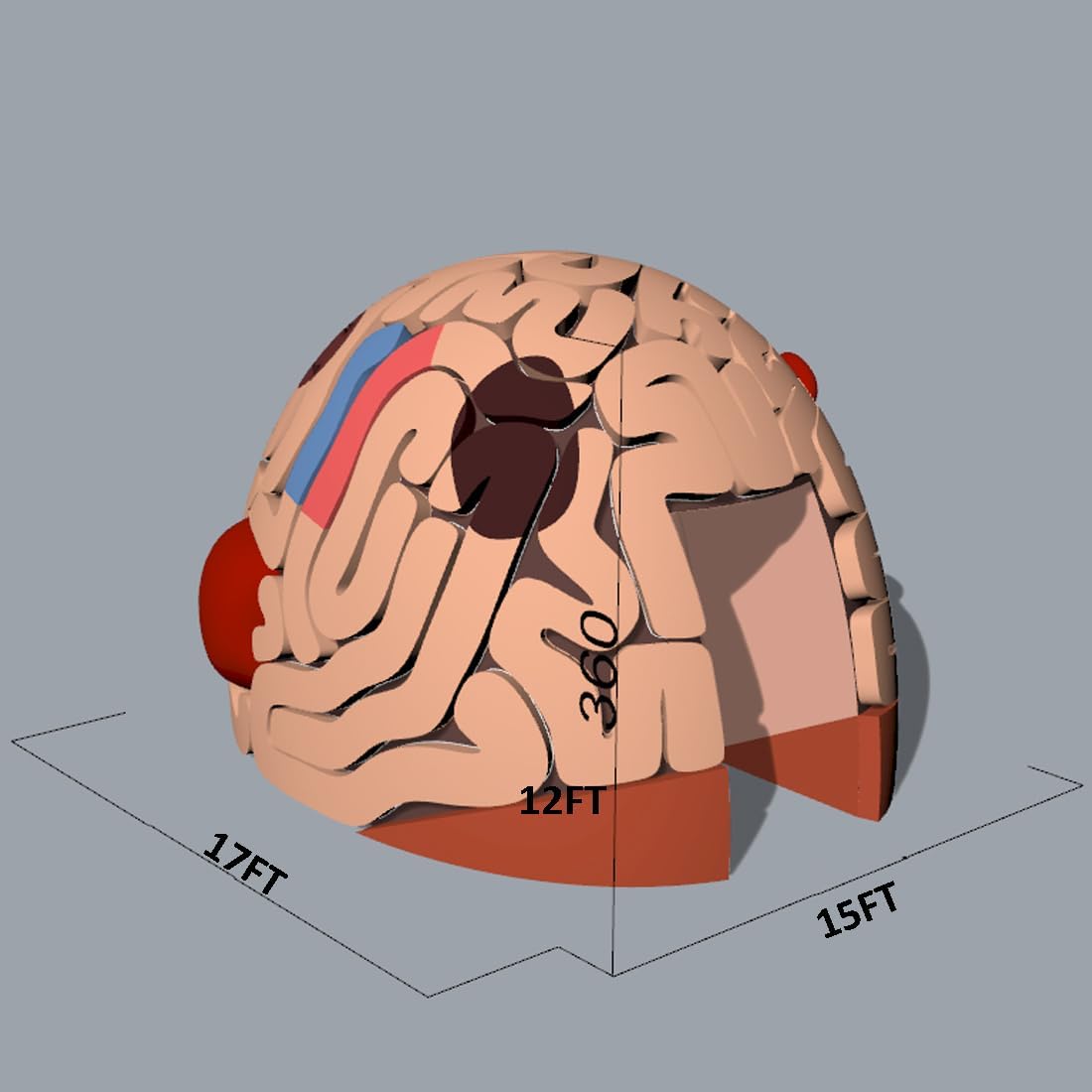 inflatable brain tunnel tent,best medical exhibit tent,inflatable brain for health education,brain tunnel tent worth buying,outdoor inflatable brain model,should I buy an inflatable brain tunnel performance testing and real-world results