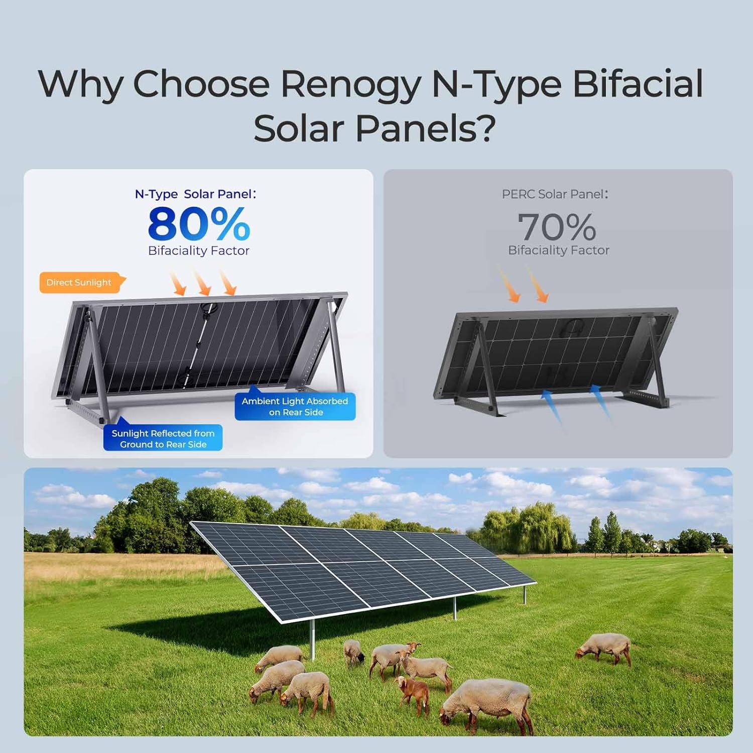 Step-by-step guide for Renogy 590 watt solar panel review,Renogy 590W bifacial solar panel review and rating,is Renogy 590 watt solar panel worth buying,Renogy 590W solar panel review pros cons,Renogy 590 watt bifacial panel review honest opinion,Renogy 590W solar panel review verdict review - complete tutorial